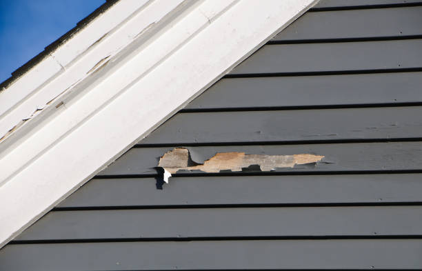 Best Property Management Cleanouts  in Lenox, IA